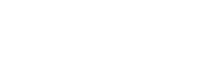 amphivena_logo_wt
